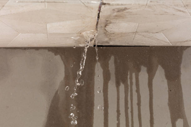 Professional Water Damage Inspection technician working in Crystal City, TX